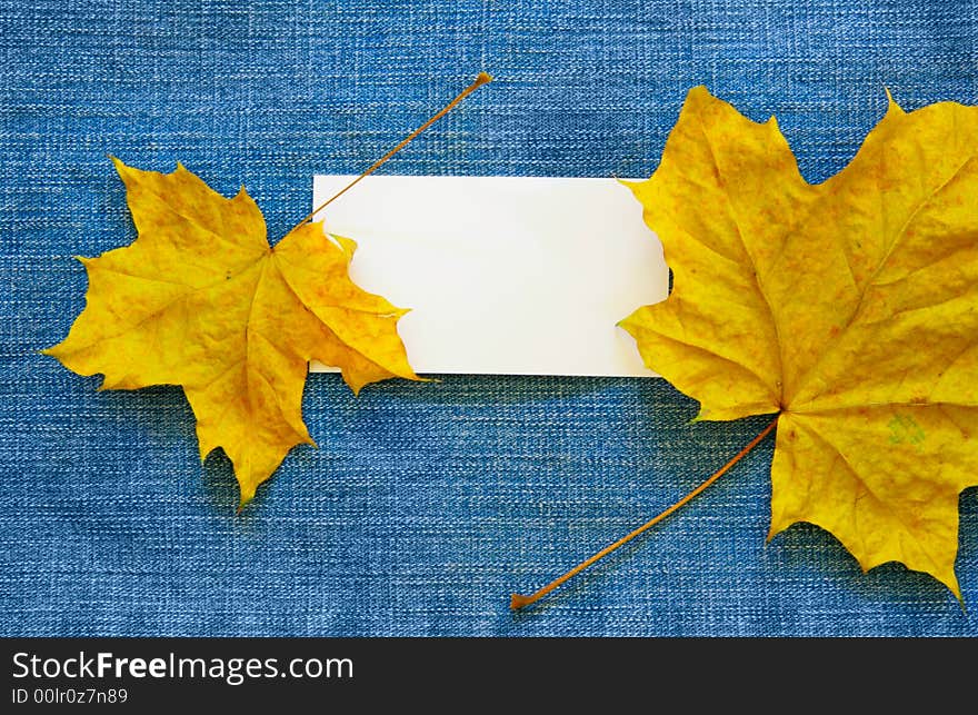 Blank calling card and maple leaves over jean background