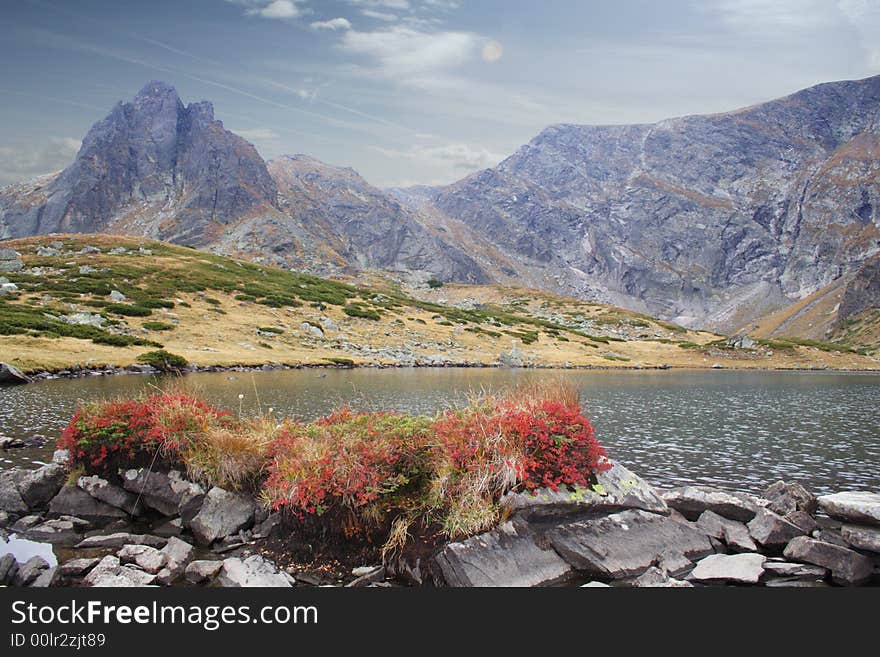 Rila mountain with a lake and blueberries