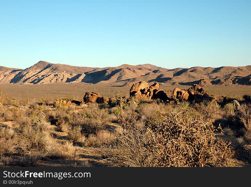 Mojave Landscape