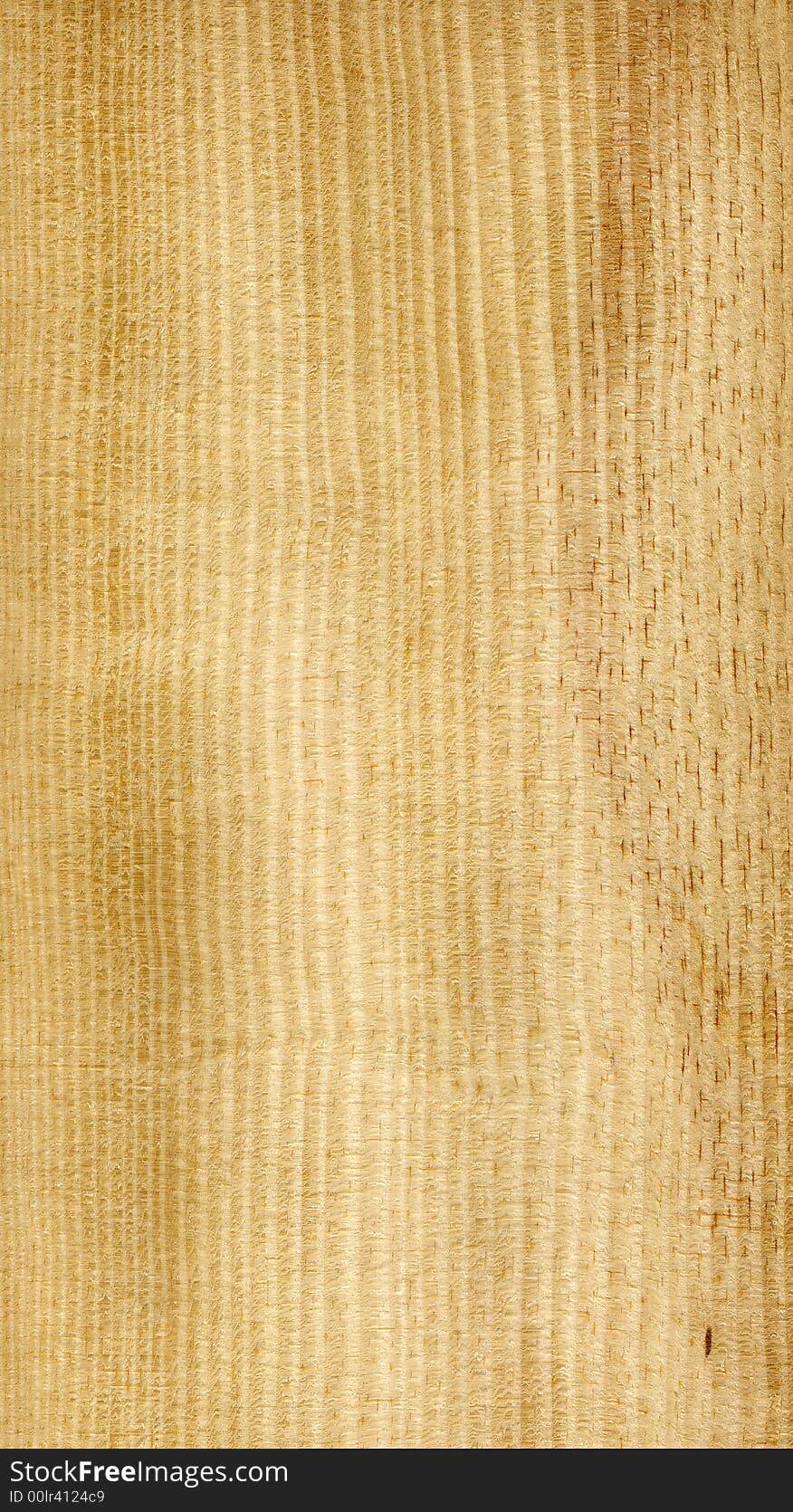 Hi res photo of yellow pine wood