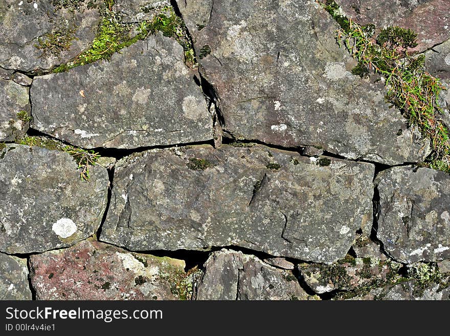 Moss Covered Rock Wall