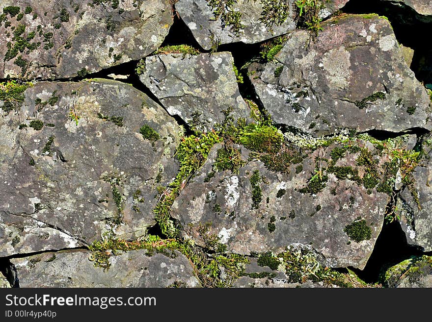 Rich lush northwestern moss and folliage covers an aged rock retention wall at the Oregon coast tourist attraction of Multnomah Falls. Rich lush northwestern moss and folliage covers an aged rock retention wall at the Oregon coast tourist attraction of Multnomah Falls.