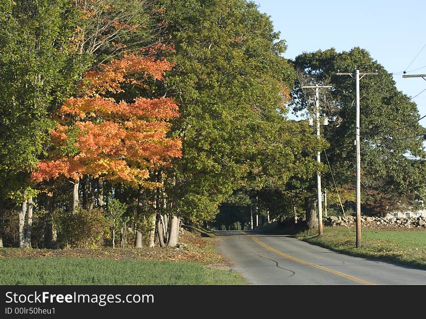 Rural road starts to show signs of fall at Dartmoor Farm Wildlife Management Area in Dartmouth, MA, USA. Rural road starts to show signs of fall at Dartmoor Farm Wildlife Management Area in Dartmouth, MA, USA