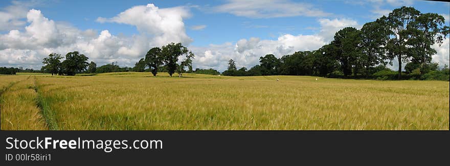 Typical view on Scottish field, suprisingly nice weather, that is not that typical for Scotland. Typical view on Scottish field, suprisingly nice weather, that is not that typical for Scotland