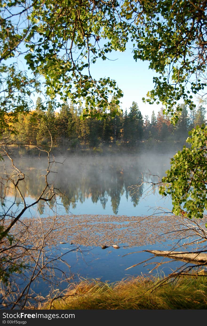 Fog in the morning at special light. Fog in the morning at special light