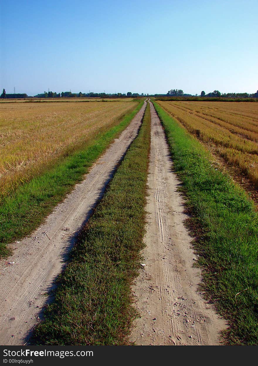 A narrow country road through rice fields (after the harvest) in Lomellina, Italy