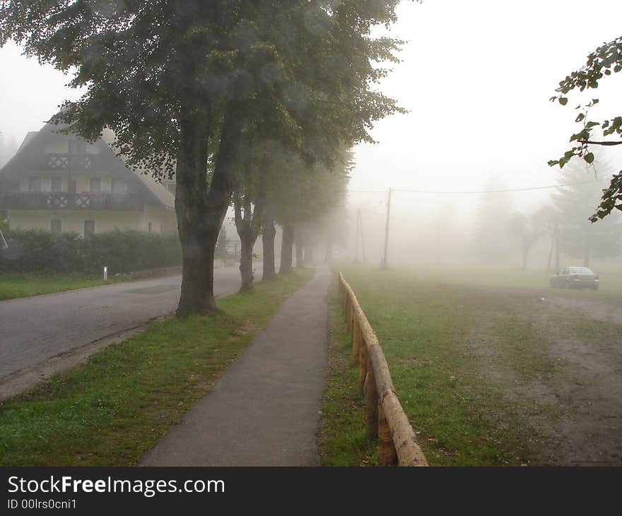 8:00  
Morning raine 
Near Bohini lake, Slovenia