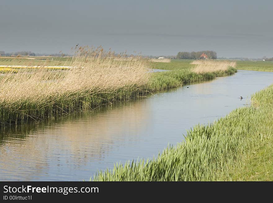 A small channel runs through the Dutch polder landscape. It is an important channel for local water mangement and an imporatant piece of nature in a very populated zone. A small channel runs through the Dutch polder landscape. It is an important channel for local water mangement and an imporatant piece of nature in a very populated zone.