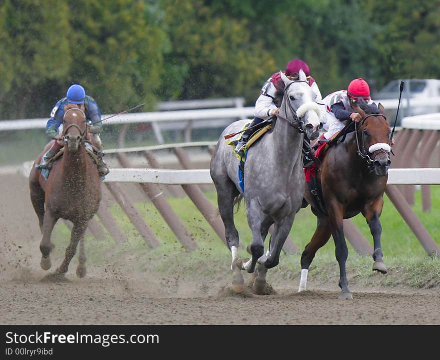 A grey thoroughbred breaks ahead of his rivals in a thoroughbred race. A grey thoroughbred breaks ahead of his rivals in a thoroughbred race.