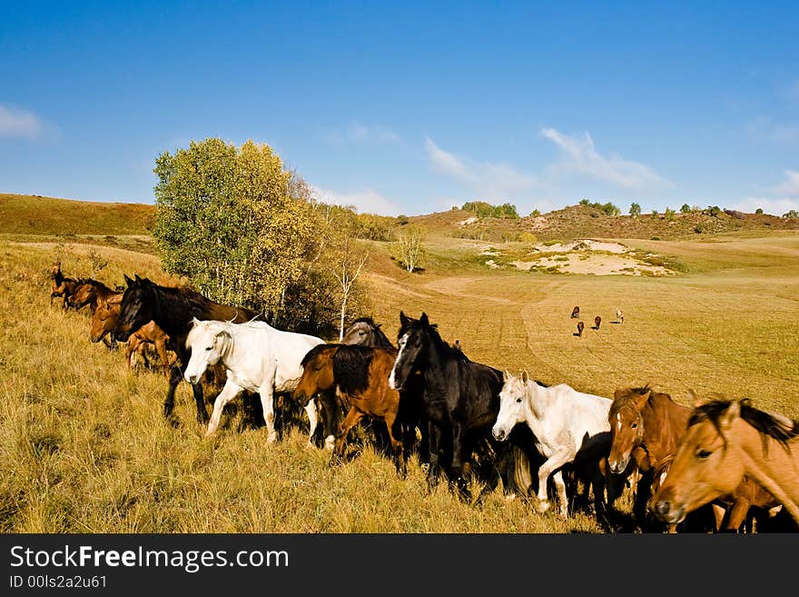 Autumn, browse house in grassland,inner Mongolia,China