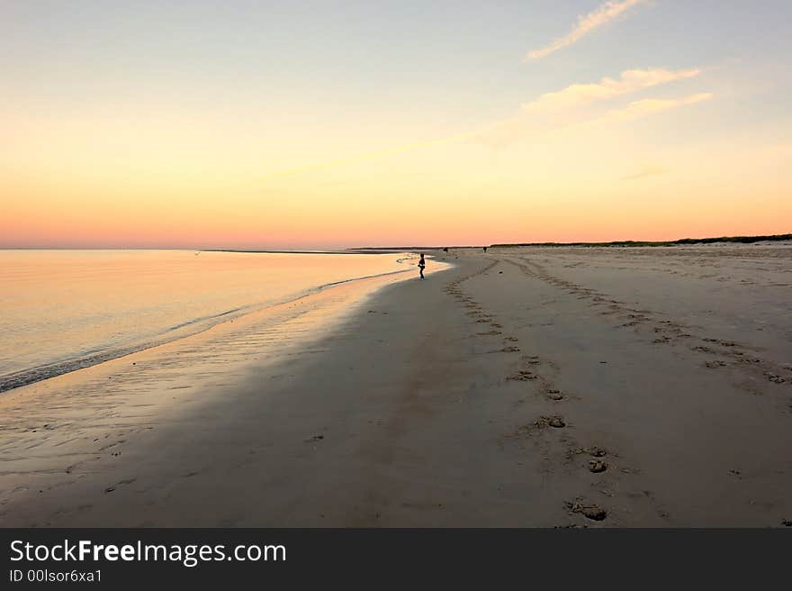 Hoof prints in the sand