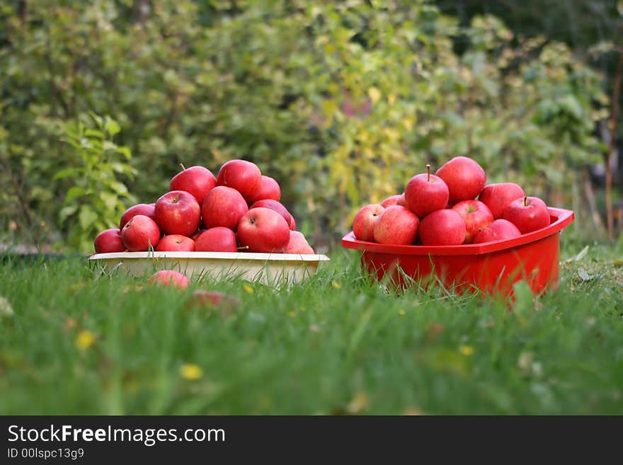 Pans With Apples