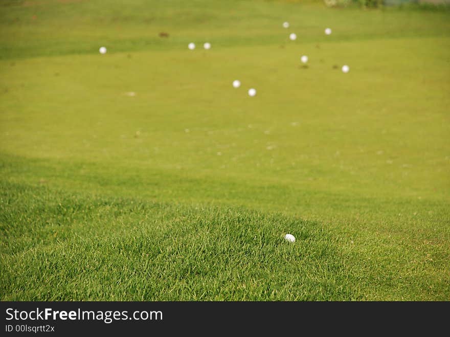 Golf gren - grass