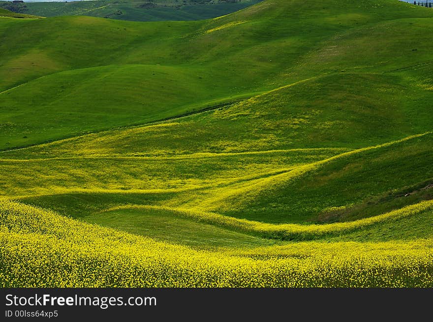 Landscape,Tuscany Val D Orcia