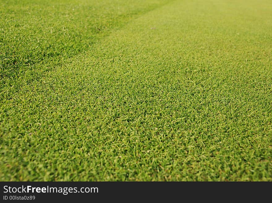 Golf gren - grass