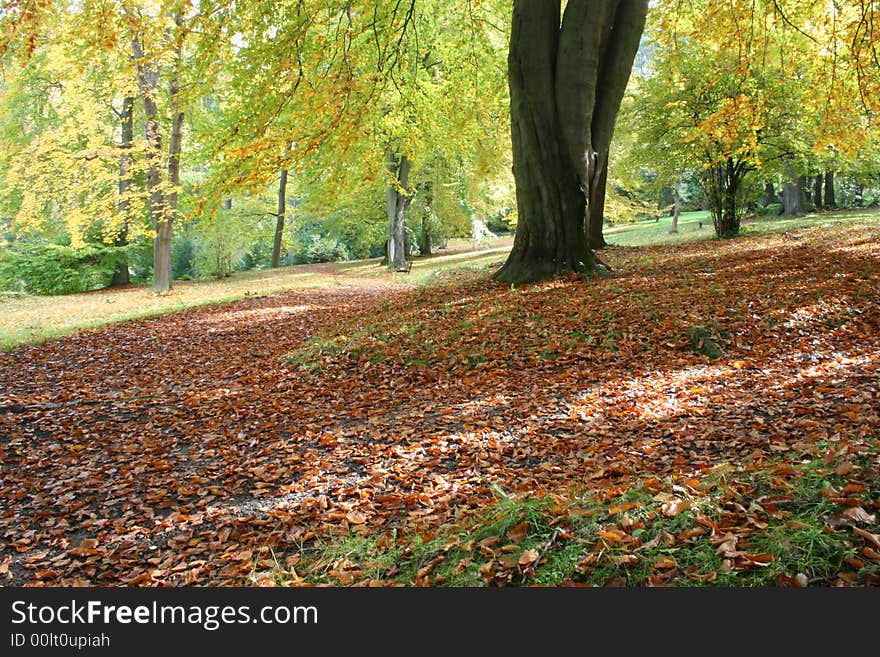 Autumn Park