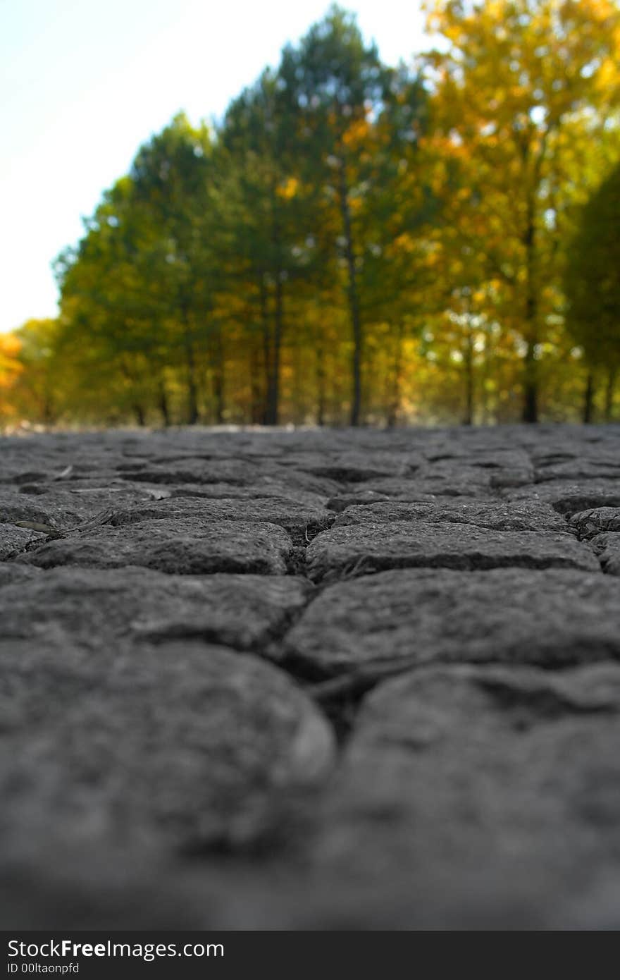 Road on a background of a wood