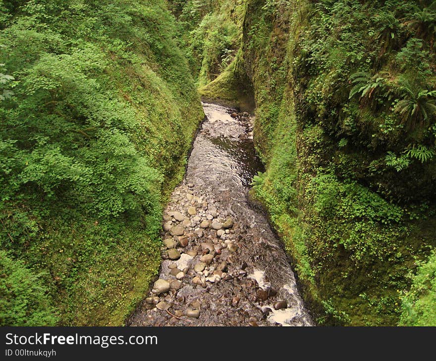 Oneonta Gorge