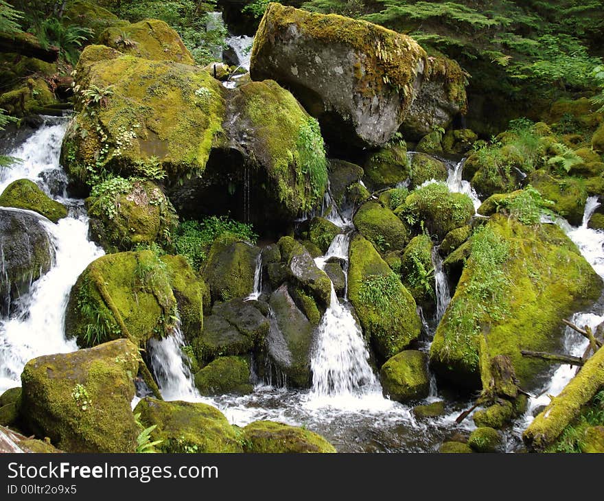 Watson Falls is the high Waterfall in central Oregon. Watson Falls is the high Waterfall in central Oregon.