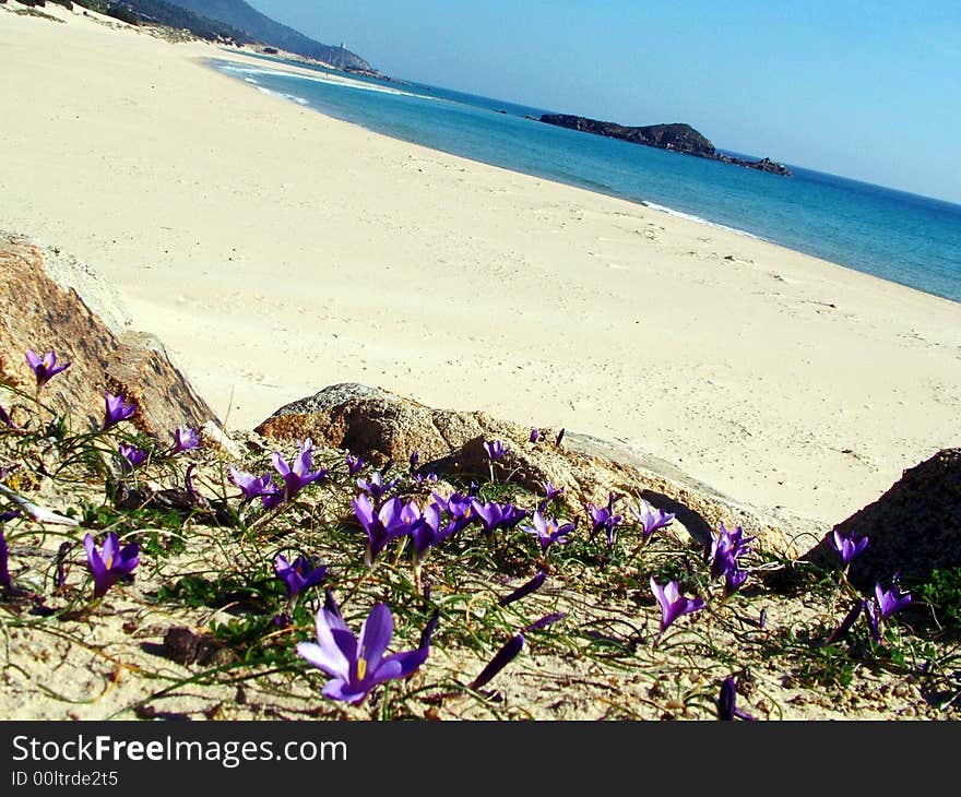 The wild landscape in Chia's Bay (South Sardinia - Italy). The wild landscape in Chia's Bay (South Sardinia - Italy)