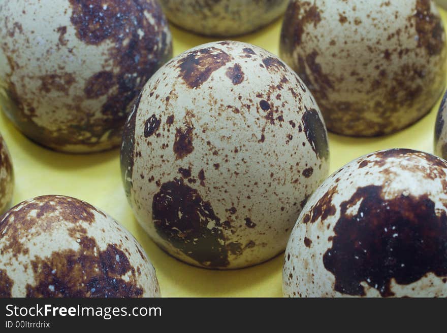 Many spotted quail eggs, focused on one by center