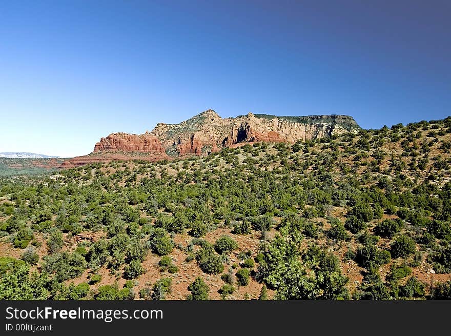 A picture showing the desert vegitation and a rocky mountain top in the background. A picture showing the desert vegitation and a rocky mountain top in the background