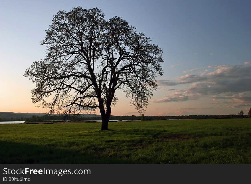 Evening on Sauvie Island