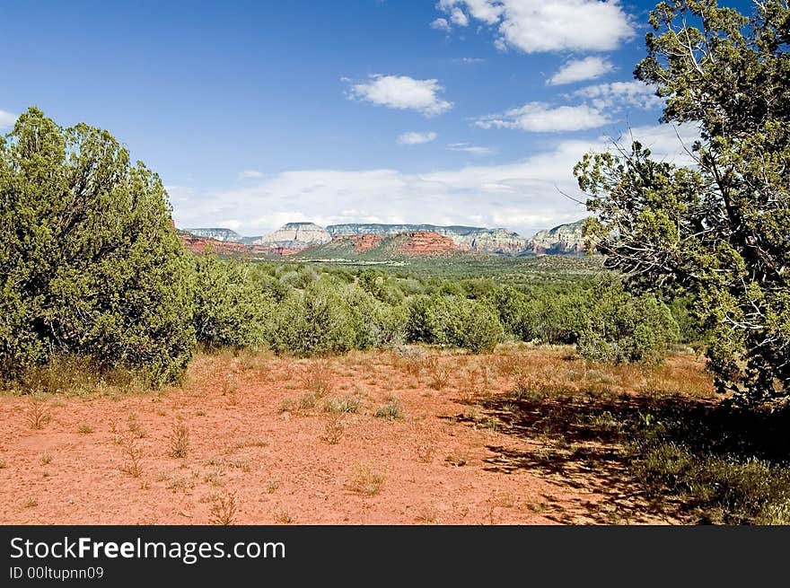 The floor of the desert showing vegitation and mountains of sedona in the background. The floor of the desert showing vegitation and mountains of sedona in the background