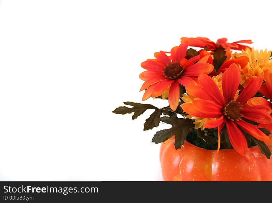 Isolated Halloween Flowers Arrangement in a Pumpkin