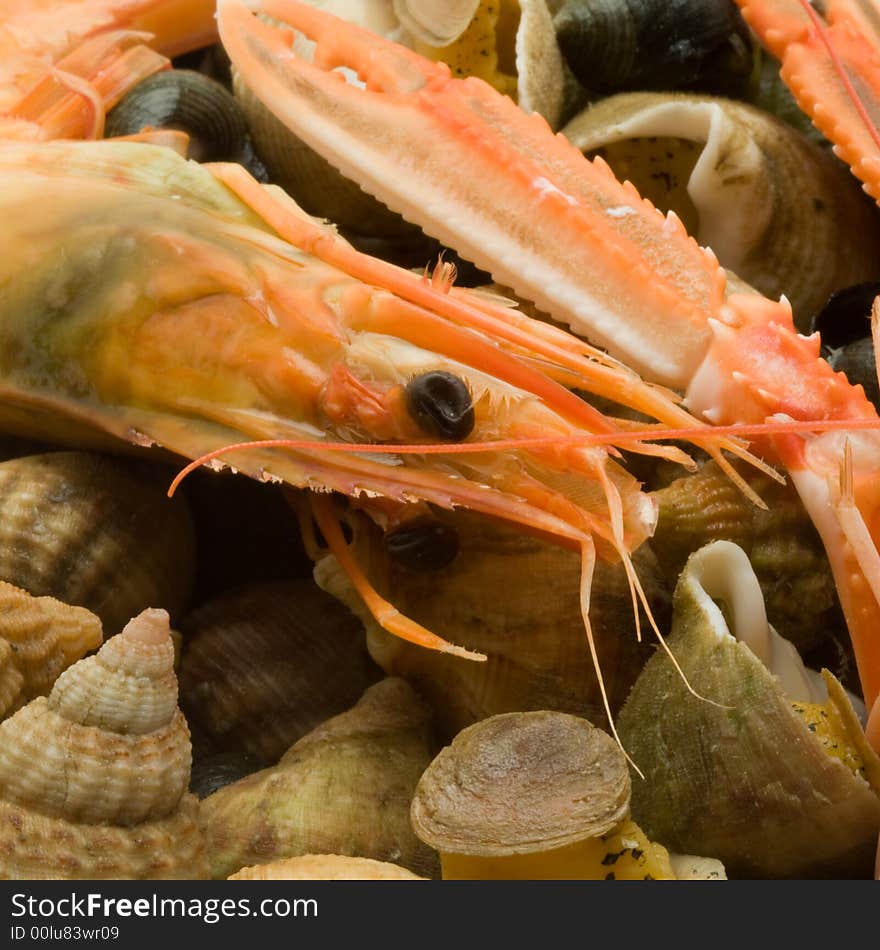 Seafood Plate Close-up