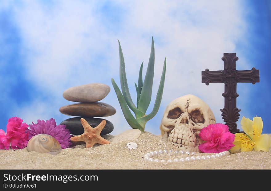 Aloe Plant with Flowers and Skull on Sand With Water Reflection, Shallow DOF. Aloe Plant with Flowers and Skull on Sand With Water Reflection, Shallow DOF