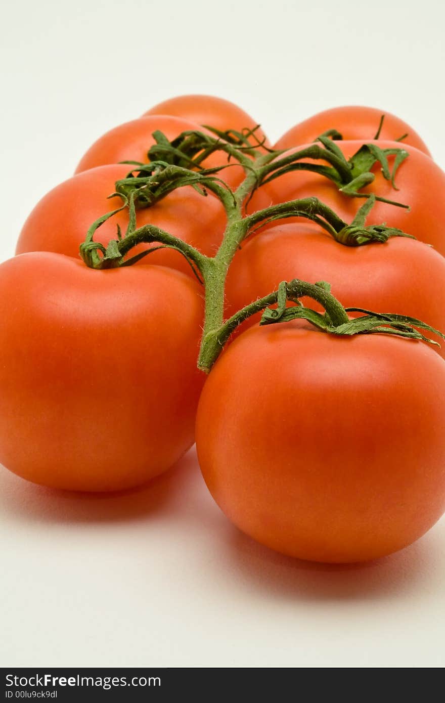 Vine Tomatoes