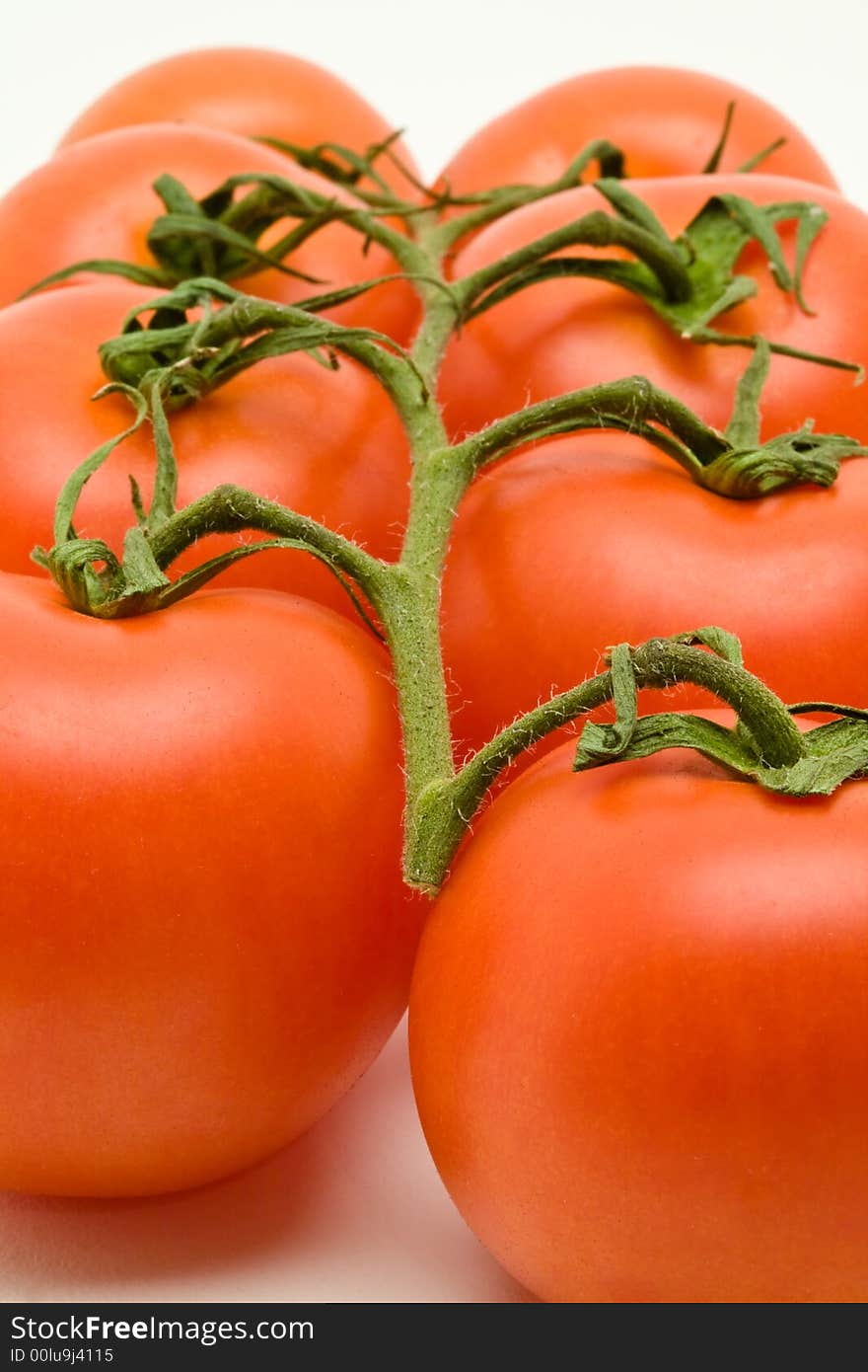 Vine Tomatoes