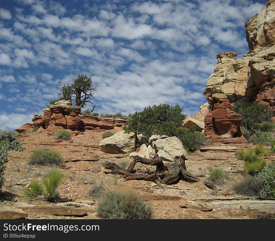 The picture taken from Golden Throne Trail in Capitol Reef National Park