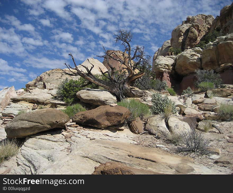 Golden Throne is a well-known feature of Capitol Reef National Park. Golden Throne is a well-known feature of Capitol Reef National Park