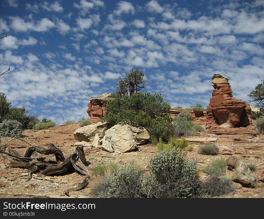 The picture taken on Golden Throne Trail in Capitol Reef National Park. The picture taken on Golden Throne Trail in Capitol Reef National Park