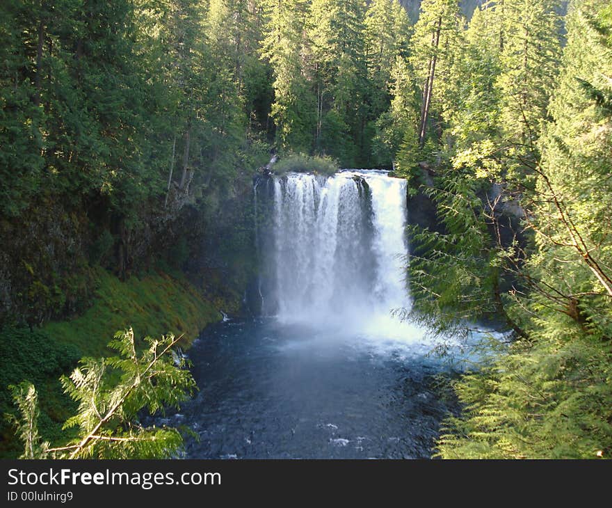 Koosah Falls is the Waterfall in central Oregon.