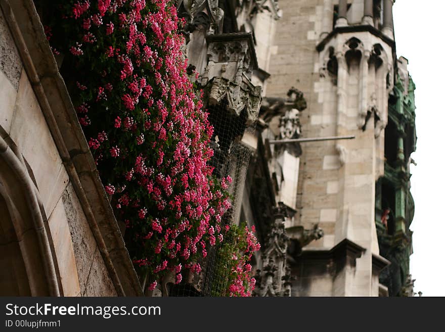 Bloomy flowers  and old castle. Bloomy flowers  and old castle