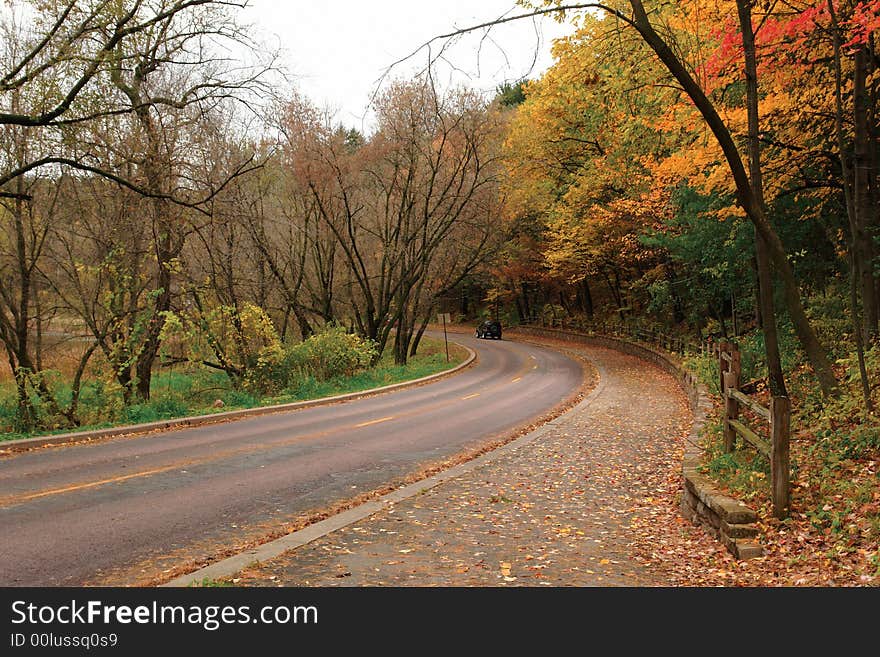 A picture of a curve through the woods in autumn. A picture of a curve through the woods in autumn