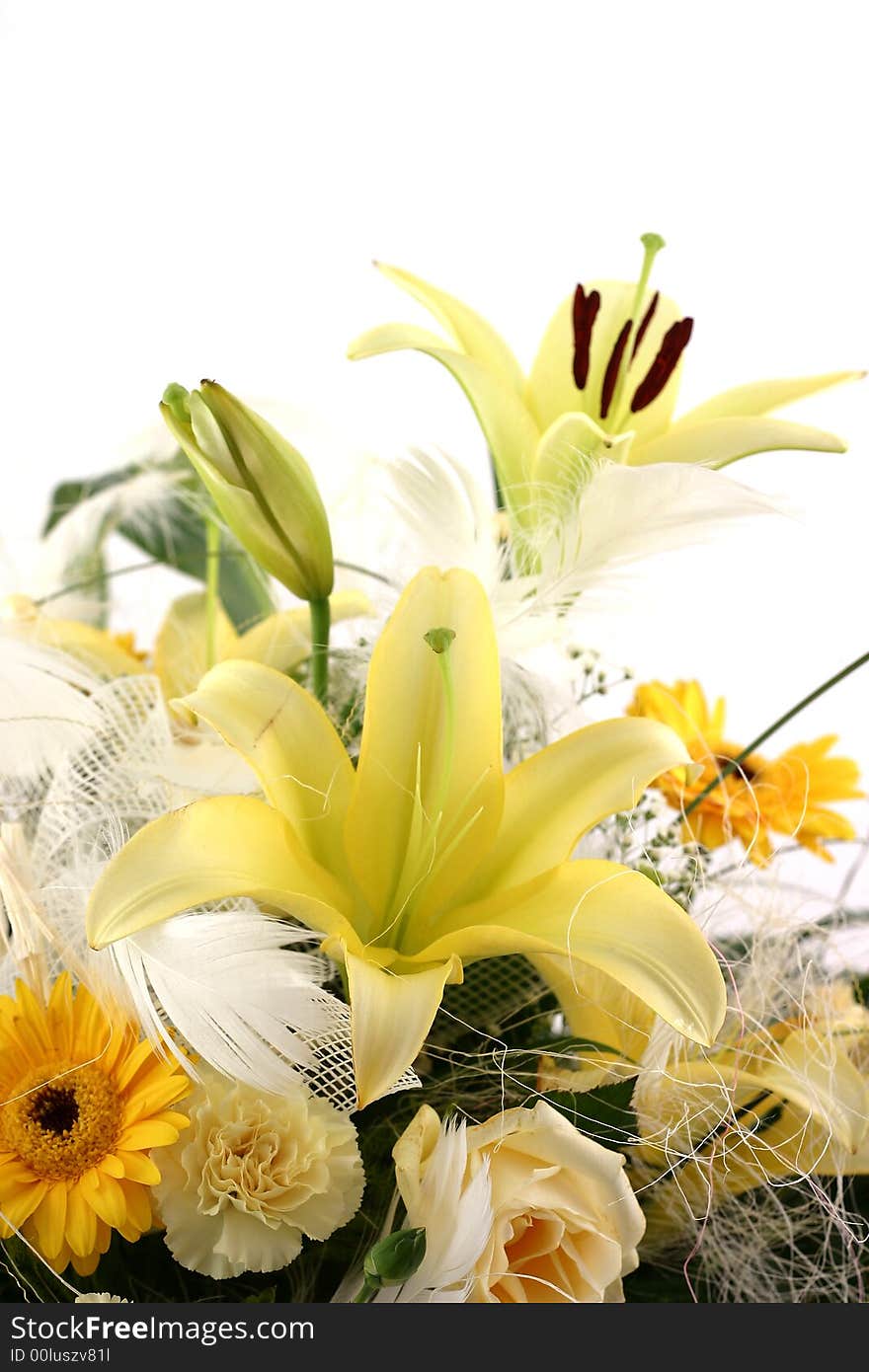 Beautiful flowers on white background