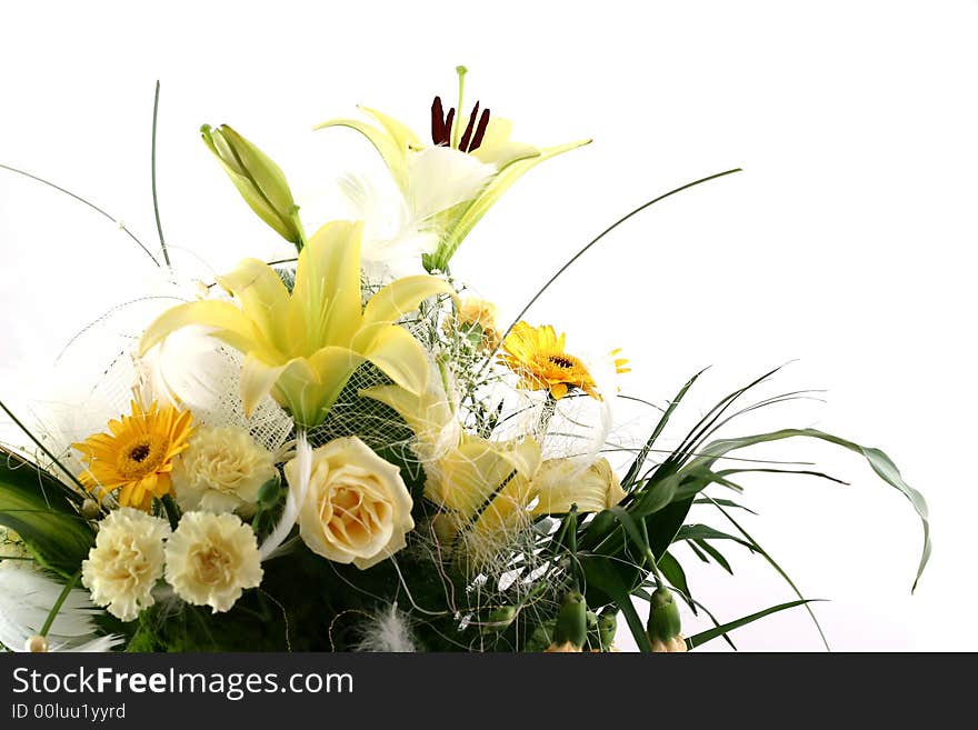 Beautiful flowers on white background