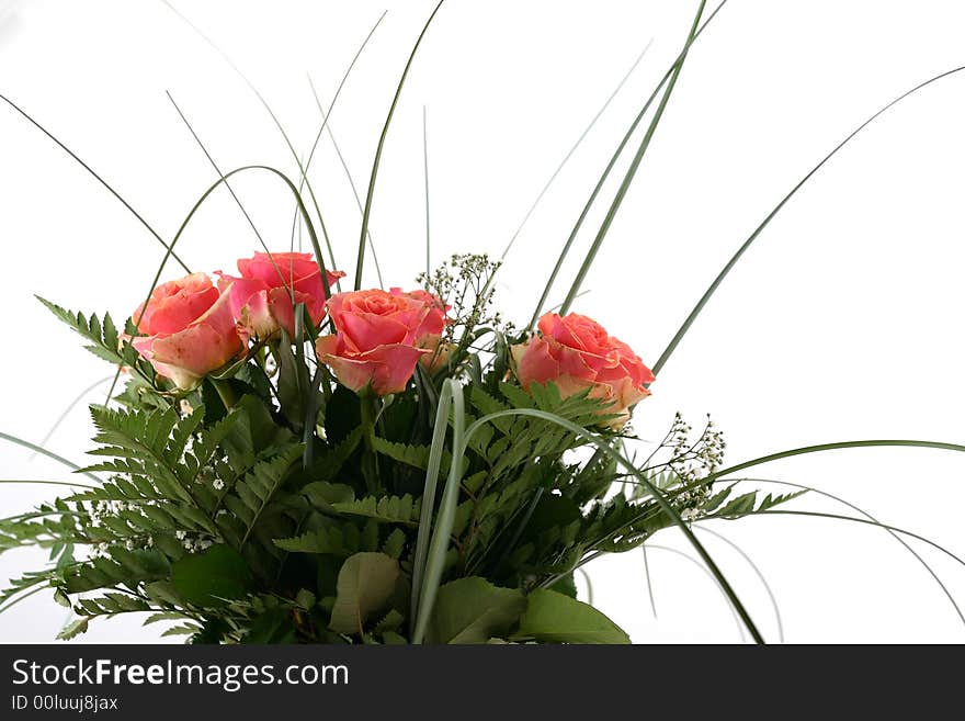 Beautiful flowers on white background