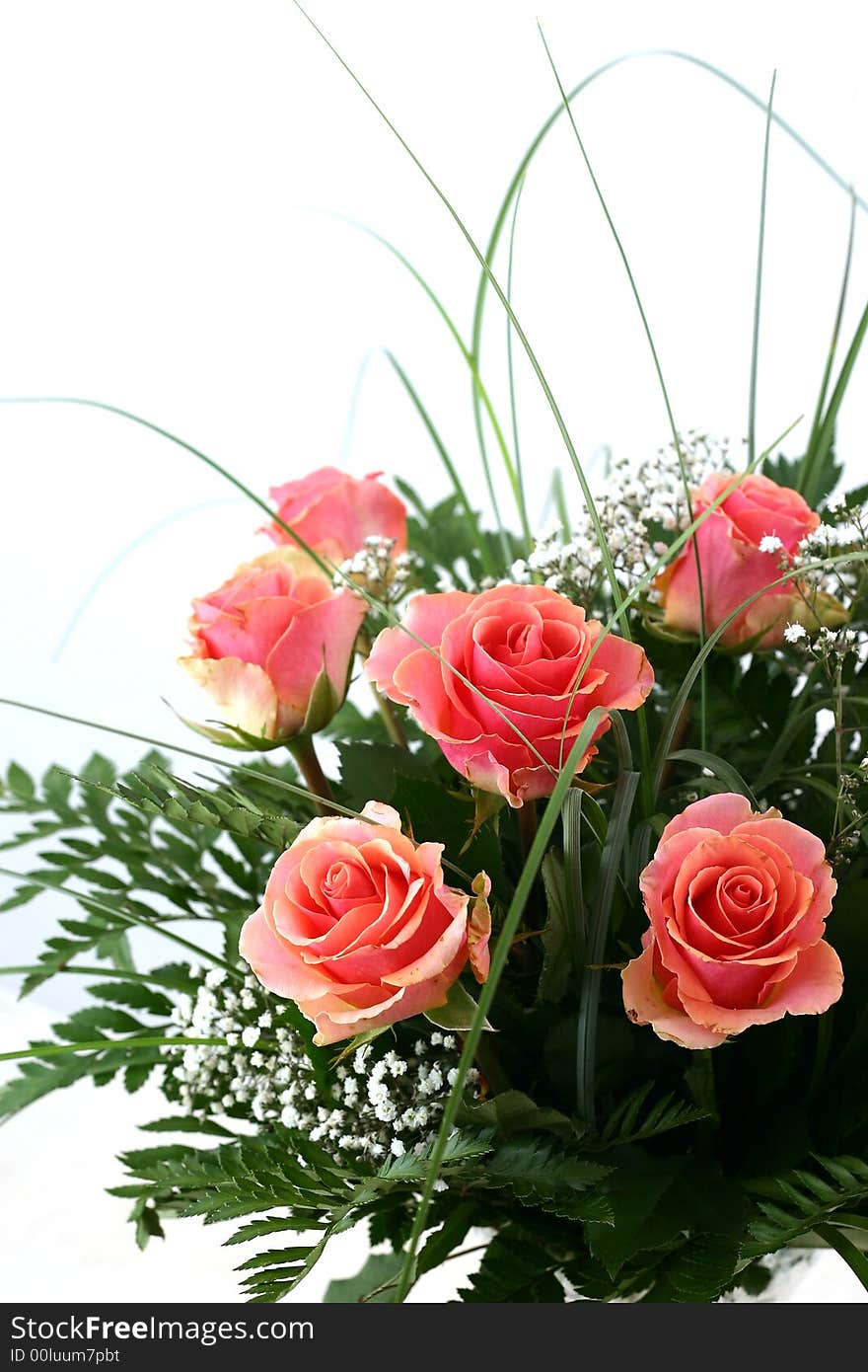 Beautiful flowers on white background