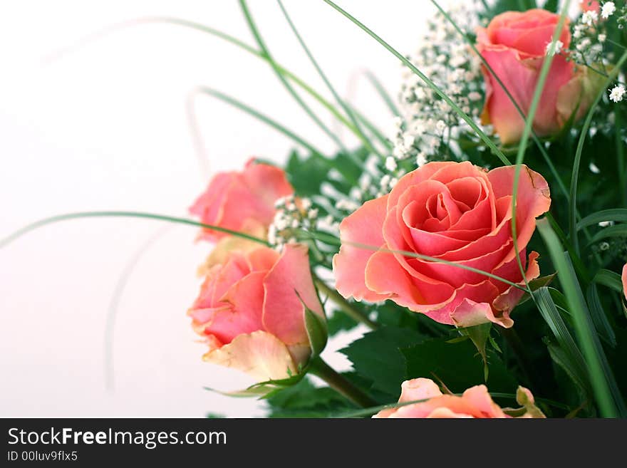 Beautiful flowers on white background