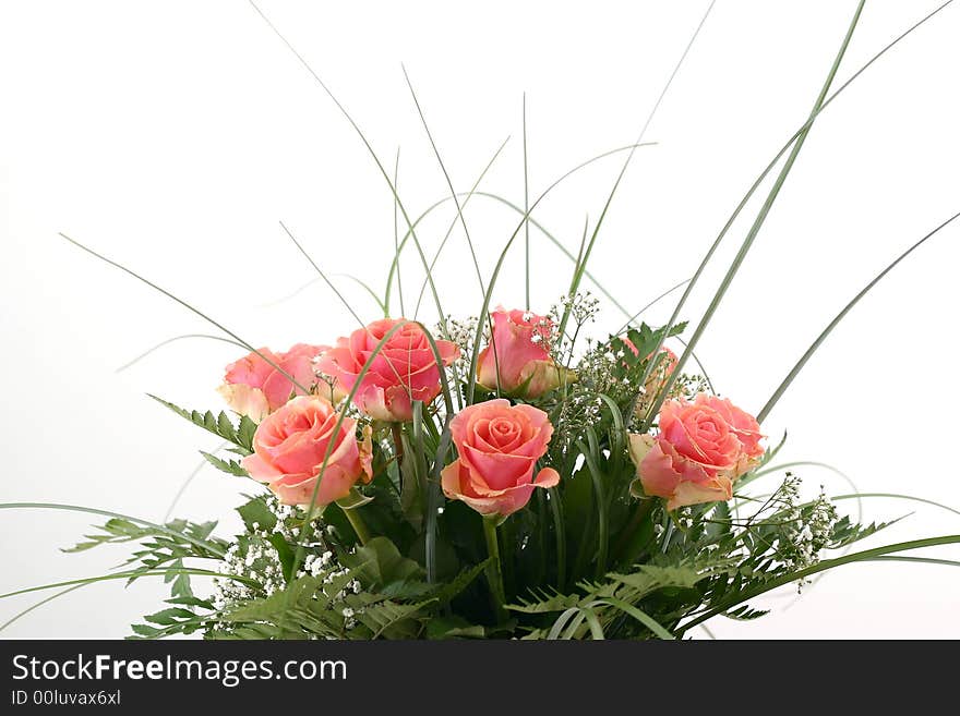 Beautiful flowers on white background