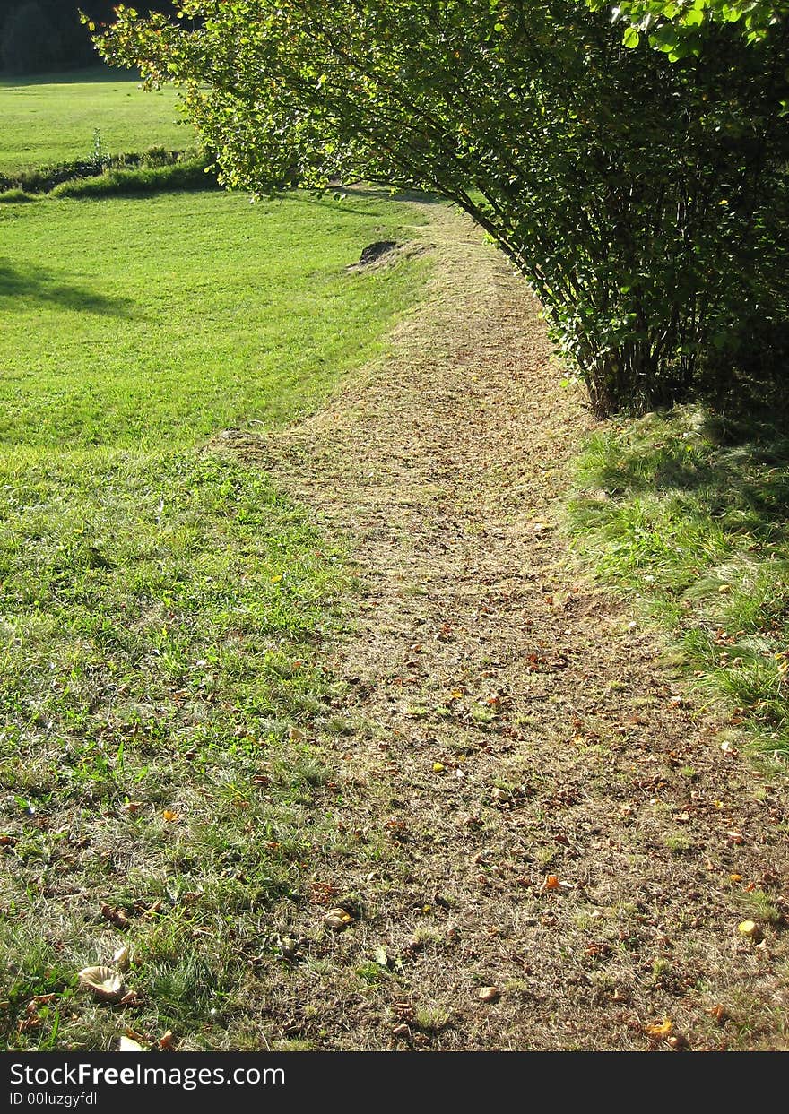 Landscape in nature with trees and grass. Landscape in nature with trees and grass