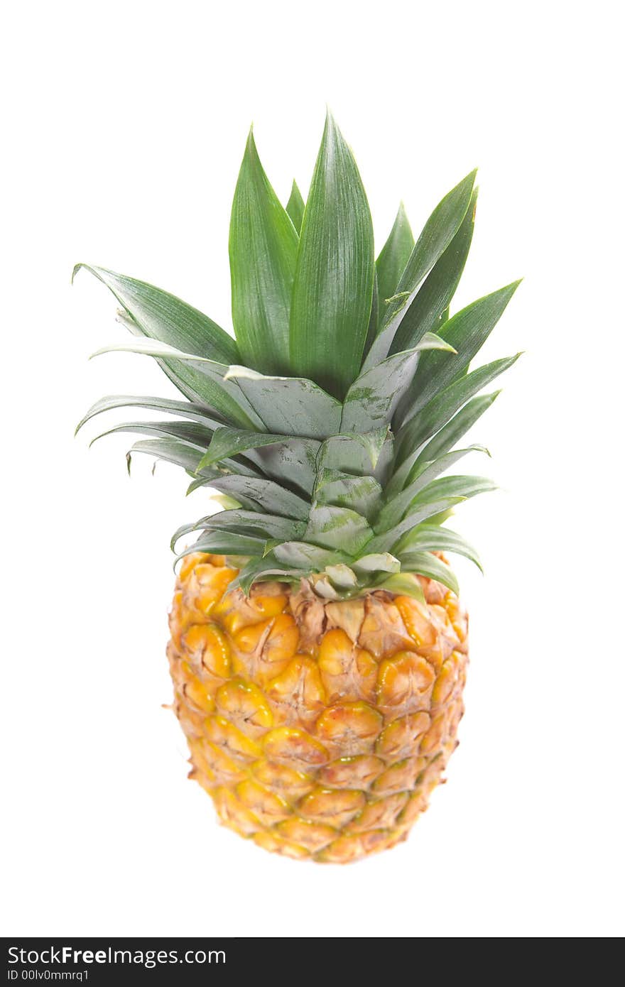 Pineapple