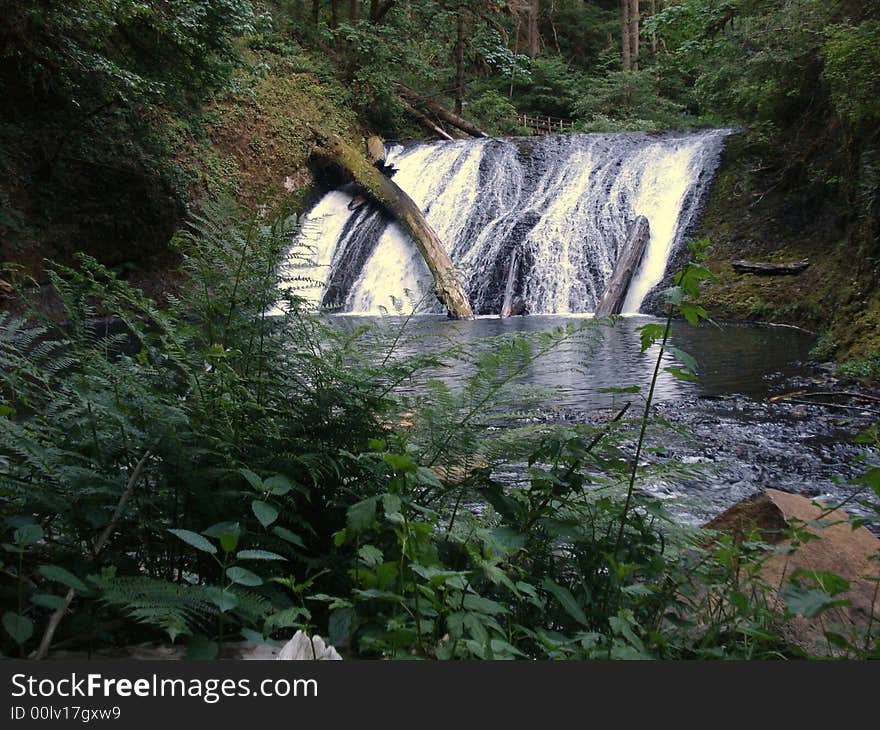 Lower North Falls is the Waterfall in Silver Falls State Park.