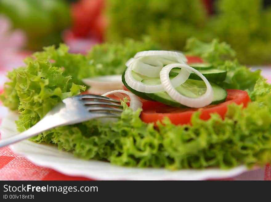 Vegetarian salad