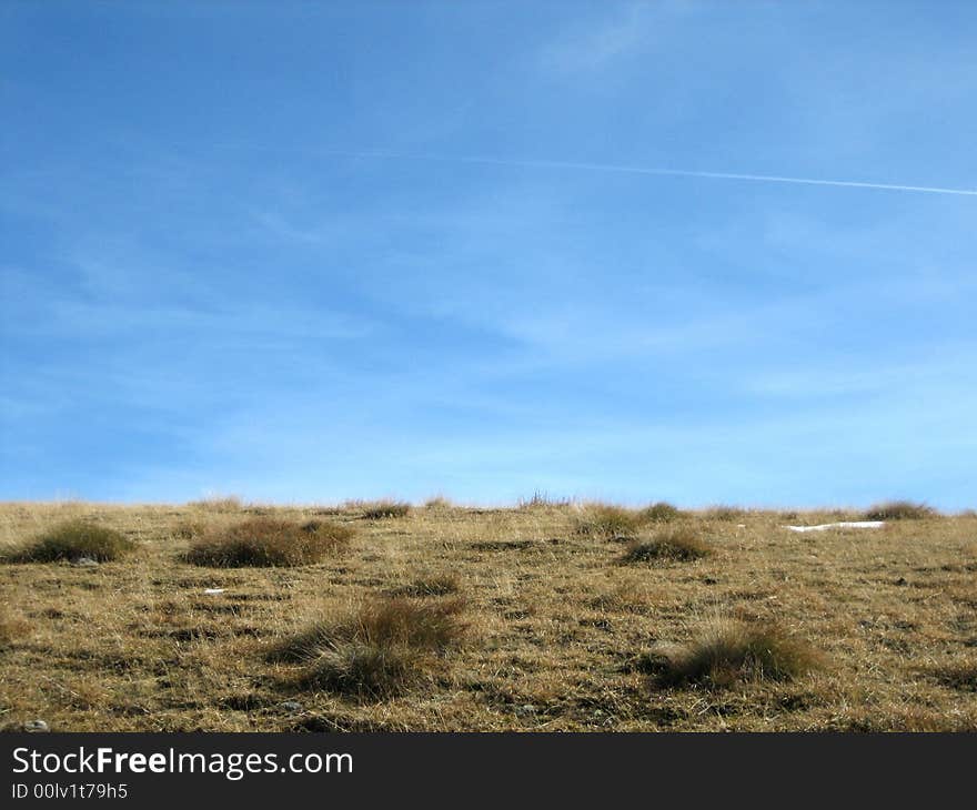 Landscape in nature with trees and grass. Landscape in nature with trees and grass